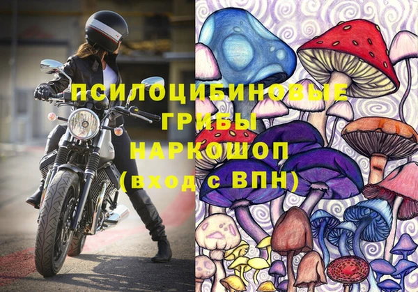 СК Армянск